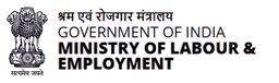 Support Icon
